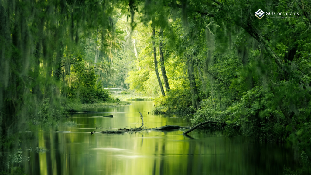 Biophilic Design Shaping Our Sustainable Environment
